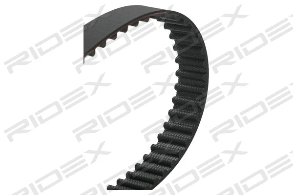 Timing Belt