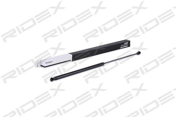 Gas Spring, boot/cargo area