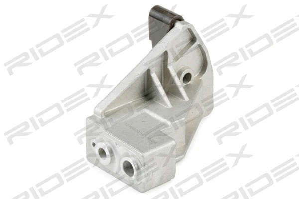 Guide, timing chain (1075T0015)