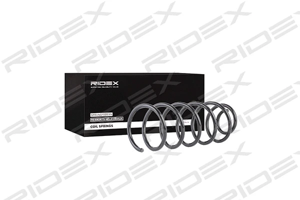 Suspension Spring (188C0110)