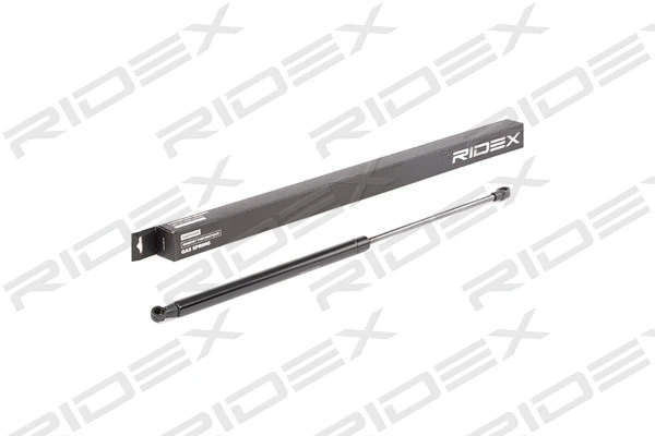 Gas Spring, boot/cargo area