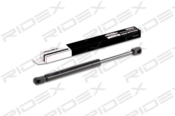 Gas Spring, boot/cargo area (219G0303)