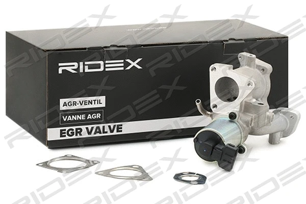 EGR Valve