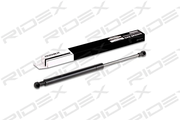 Gas Spring, boot/cargo area (219G0204)