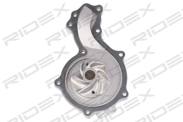 Water Pump & Timing Belt Kit