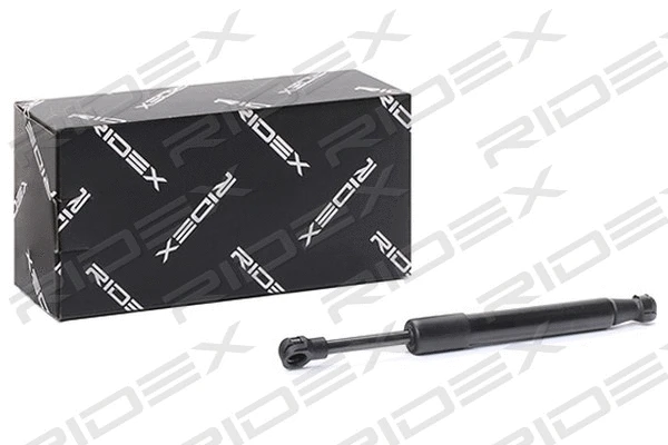 Gas Spring, boot/cargo area