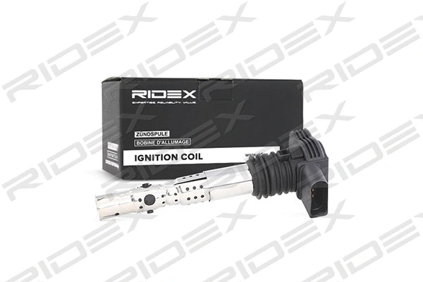 Ignition Coil (689C0006)