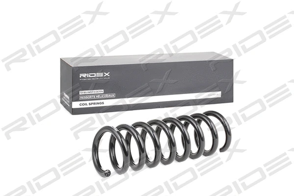 Suspension Spring (188C0409)