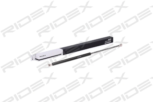 Gas Spring, boot/cargo area