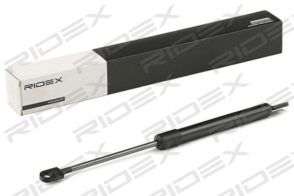 Gas Spring, boot/cargo area