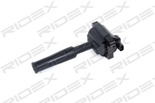Ignition Coil (689C0288)