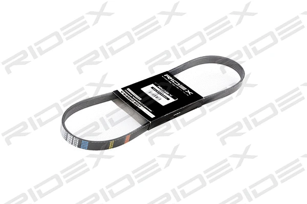 V-Ribbed Belt (305P0031)