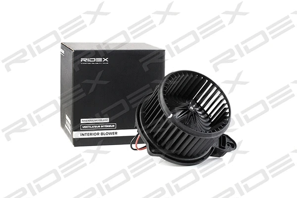 Interior Blower
