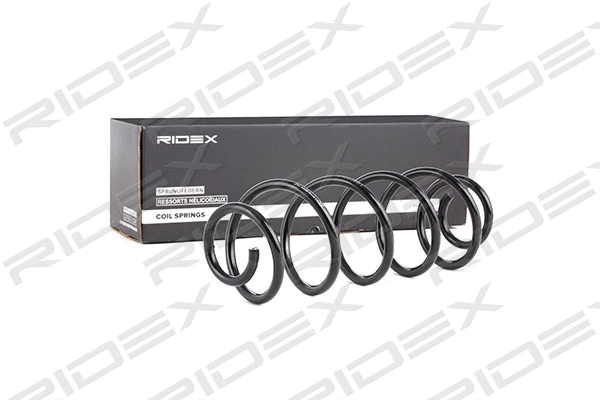 Suspension Spring (188C0066)