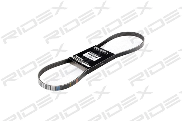 V-Ribbed Belt (305P0152)