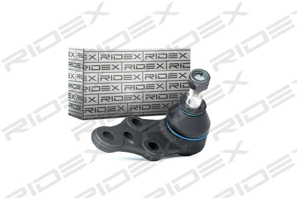 Ball Joint (2462S0100)