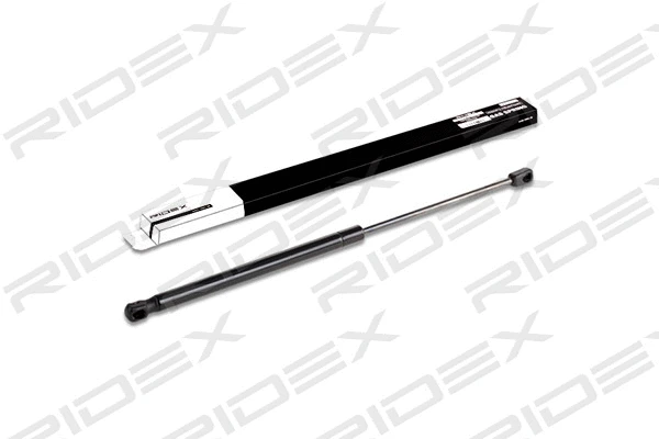 Gas Spring, boot/cargo area (219G0096)