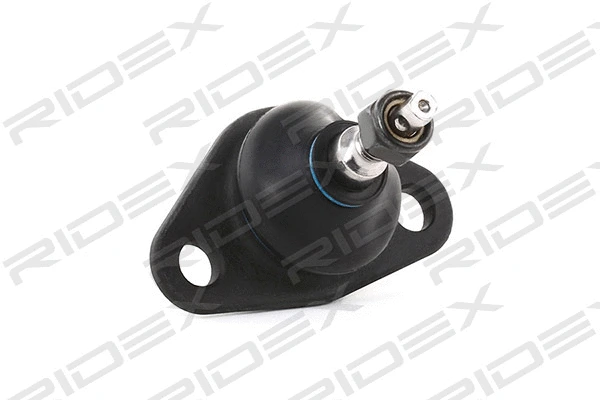 Ball Joint (2462S0031)