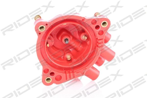 Distributor Cap