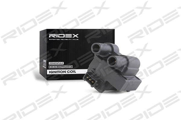 Ignition Coil (689C0155)