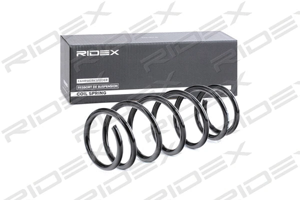 Suspension Spring (188C0250)