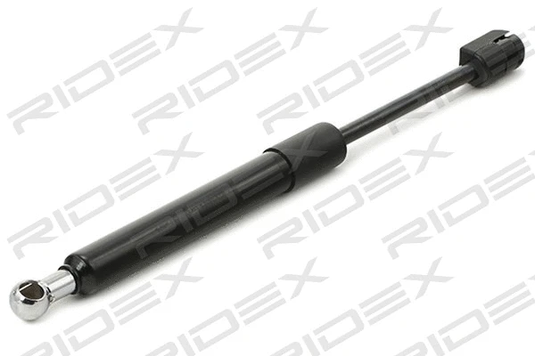 Gas Spring, boot/cargo area (219G0966)