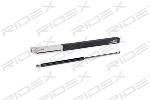 Gas Spring, boot/cargo area (219G0301)