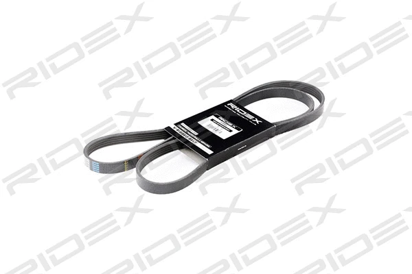 V-Ribbed Belt (305P0160)