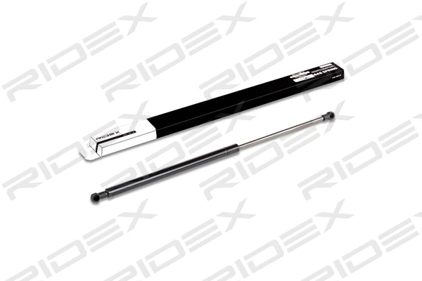 Gas Spring, boot/cargo area (219G0112)