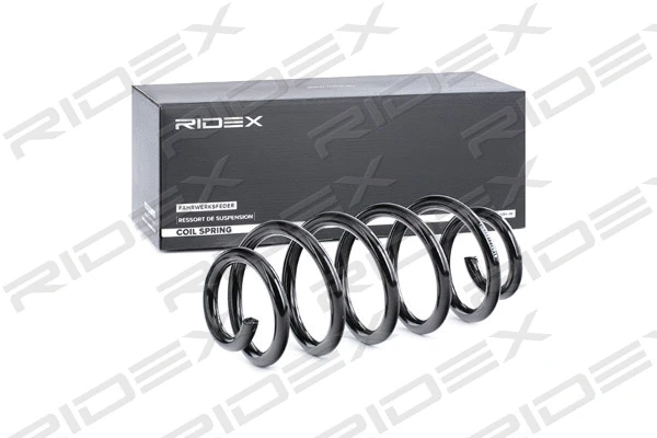 Suspension Spring (188C0490)