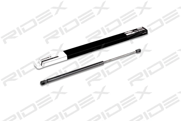Gas Spring, boot/cargo area (219G0283)