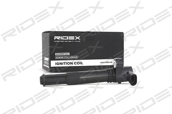 Ignition Coil (689C0009)