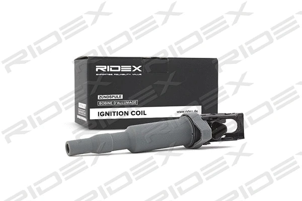 Ignition Coil (689C0029)