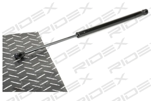 Gas Spring, boot/cargo area (219G0944)