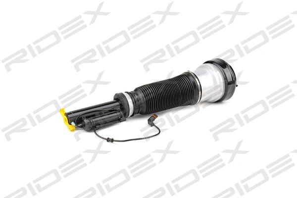 Air Suspension Strut