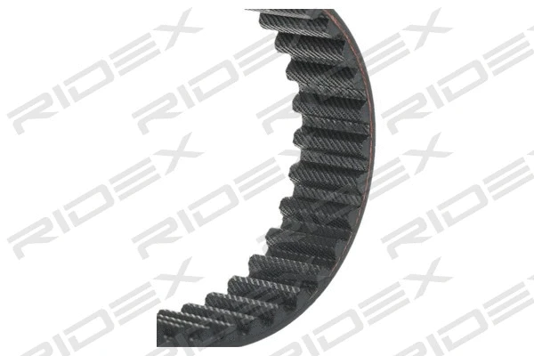 Timing Belt
