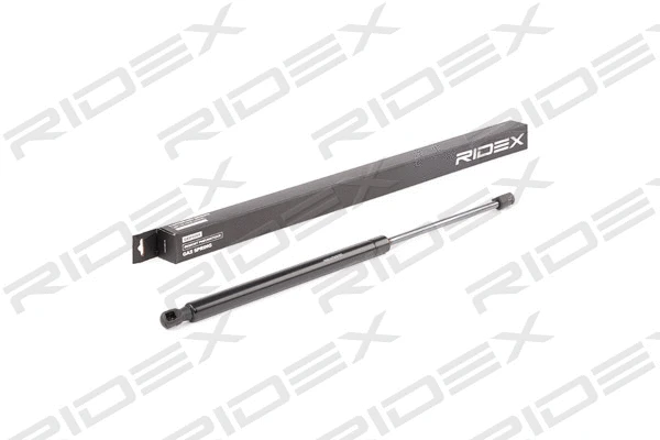 Gas Spring, boot/cargo area