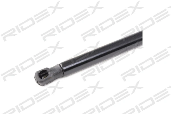 Gas Spring, boot/cargo area (219G0679)