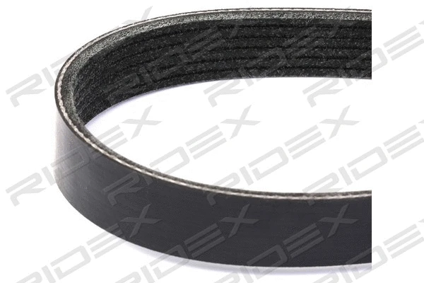 V-Ribbed Belt (305P0240)