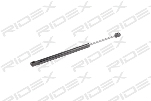 Gas Spring, boot/cargo area (219G0874)