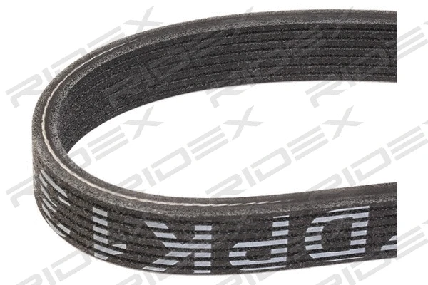 V-Ribbed Belt (305P0356)
