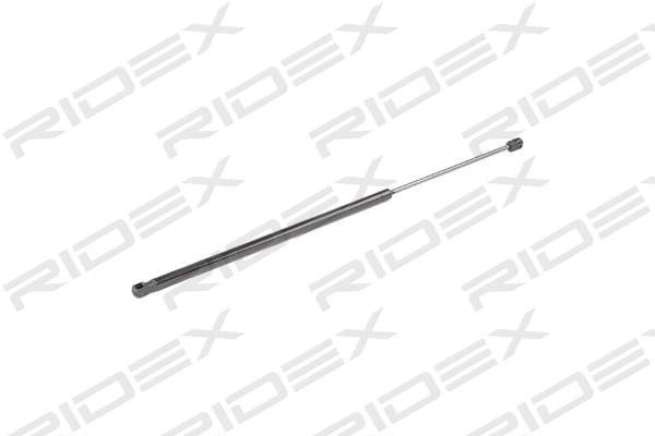 Gas Spring, boot/cargo area (219G0724)