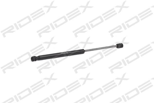 Gas Spring, boot/cargo area (219G0862)