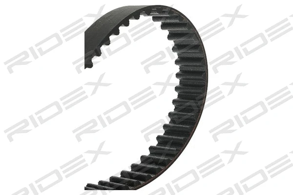 Timing Belt