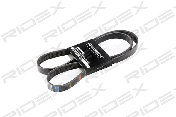 V-Ribbed Belt (305P0239)