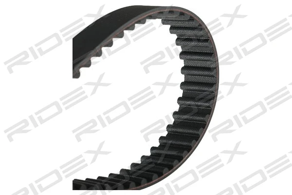 Timing Belt (306T0237)