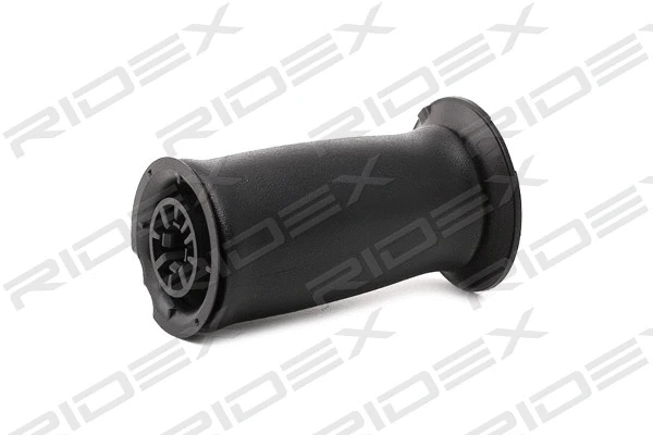 Air Spring, suspension