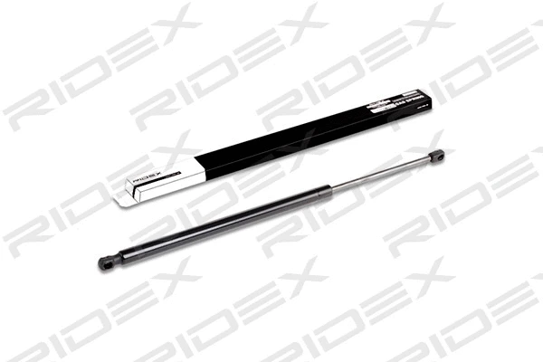 Gas Spring, boot/cargo area (219G0244)