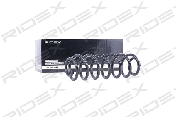 Suspension Spring (188C0056)