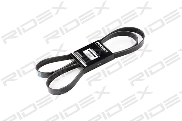 V-Ribbed Belt (305P0107)